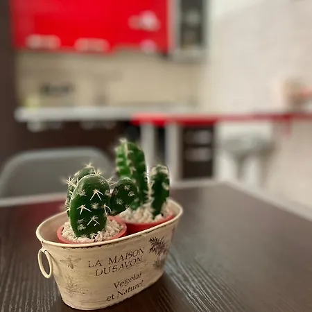 Casa Malu 2 Διαμέρισμα *